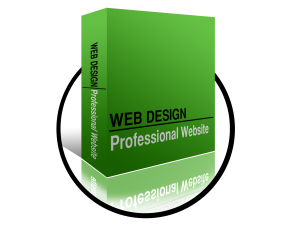 Reseller Packages Professional
